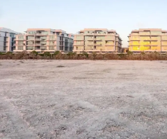 Golden Land Opportunity