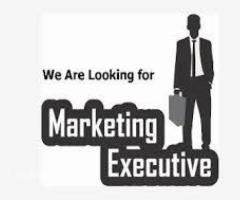 REQUIRED MARKETING EXECUTIVE