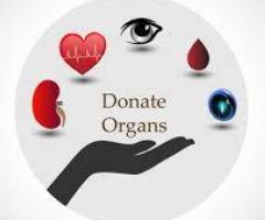 Organ Donation Camp