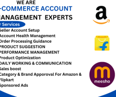 Best ecommerce marketplace management services in delhi