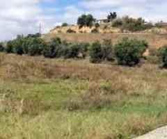 A plot of land for sale abroad