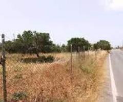 A plot of land for sale